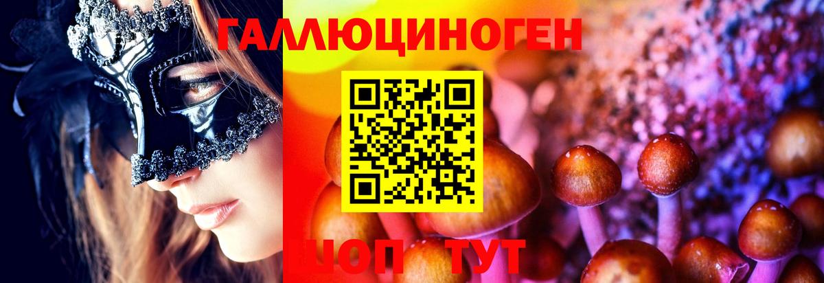 Великий Устюг  Псилоцибиновые грибы Psilocybine cubensis  Вход с VPN 